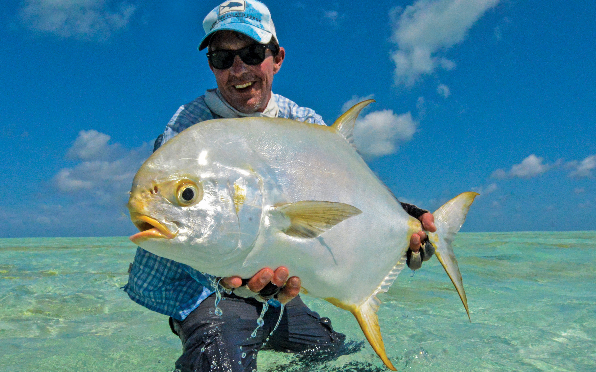 Saltwater fly fishing species available to fly fish with Alphonse