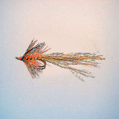 Wet Fly Shrimp 