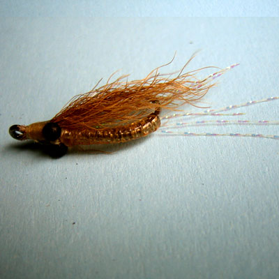 Mosca para Macabí Gotcha # 4, 6, 8