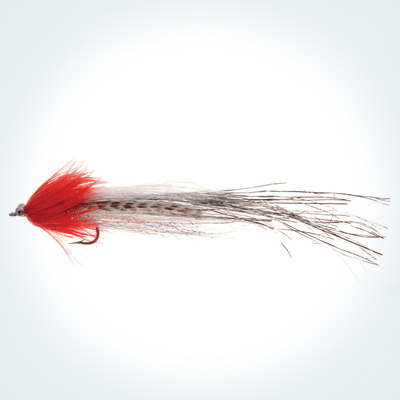 Streamer Flashtail Whistler