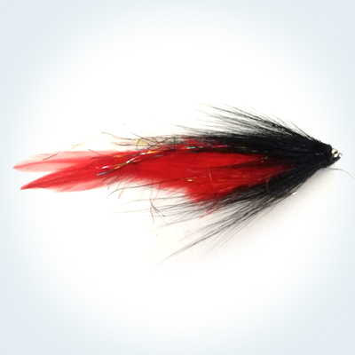 Streamer Andino  # 3/0