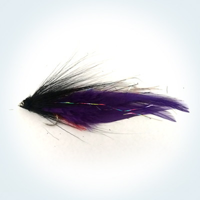 Streamer Andino  # 3/0