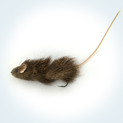 Terrestrial Mouse # 3/0