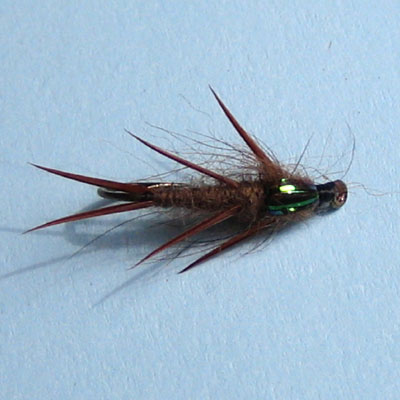 Nymph/Caddis Nymph Flashback Stonefly # 6,8, 10, 12, 14, 16, 18