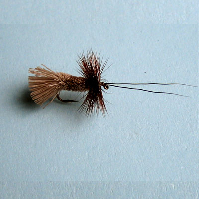 Mosca Seca Goddard Caddis # 10, 12, 14, 16