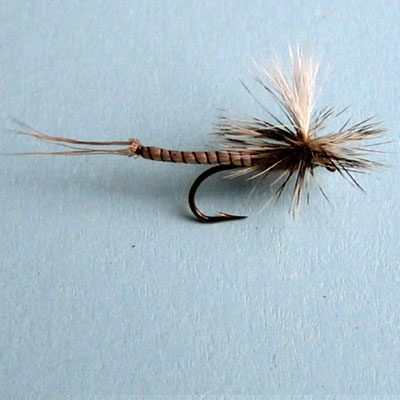 Ninfa/Caddis Ninfa Para Ex Myfly # 10, 12, 14, 16