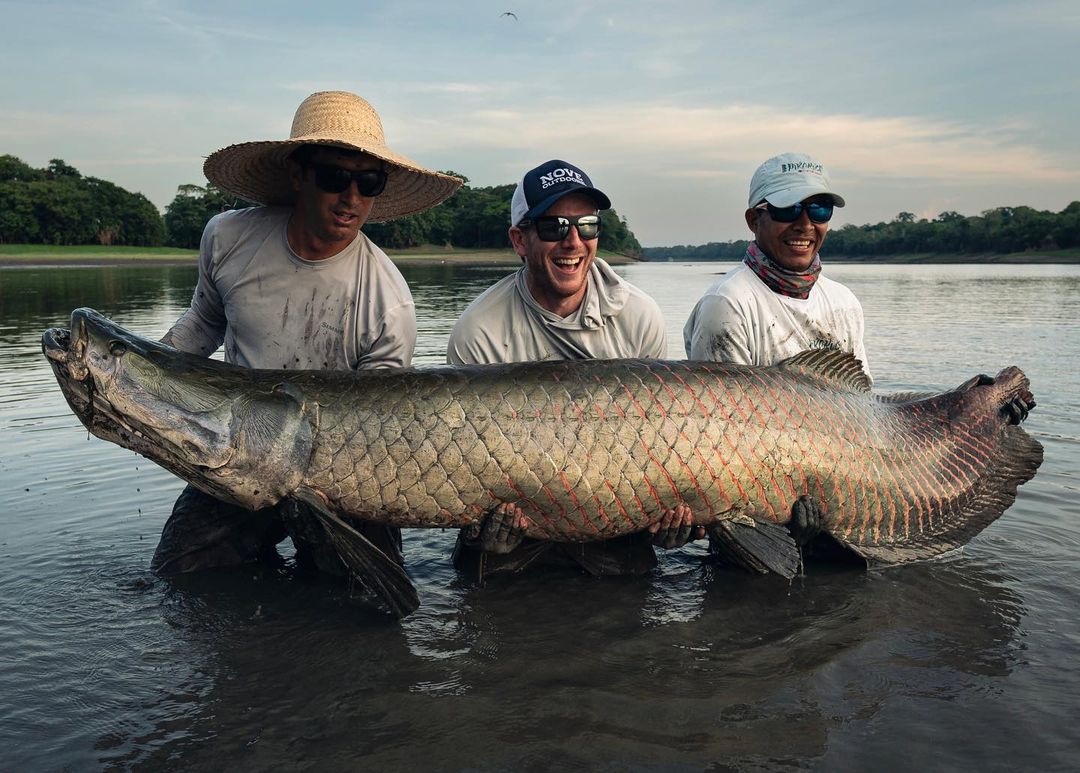 Big Catch Fishing Tackle - RIO Tropical Series Leviathan Saltwater Fly Line